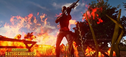 的整体表现 的整体表现